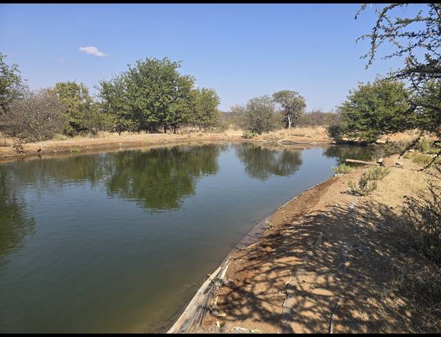 43HA FARM FOR SALE IN MOPANE